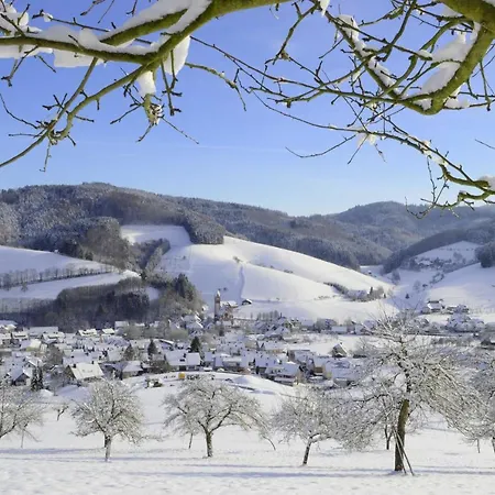 Gehring * Schuttertal